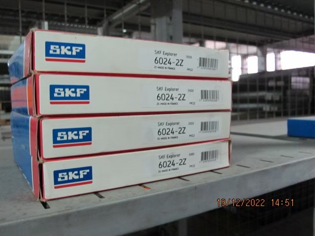 SKF Photo 84